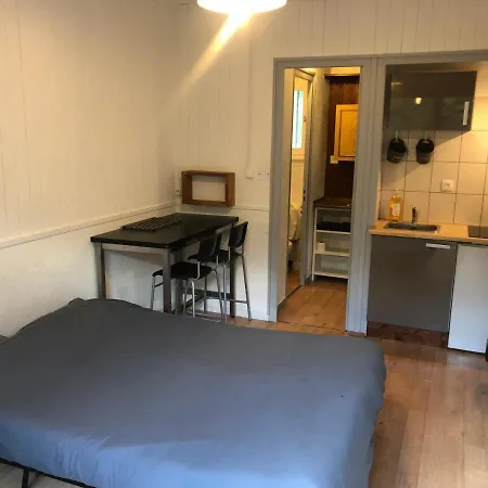 Studio Avec Petit Jardin Et Terrasse Vue Mont-blanc Apartment Chamonix