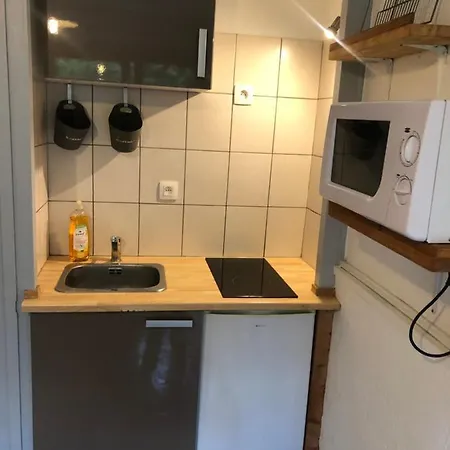 Apartment Studio Avec Petit Jardin Et Terrasse Vue Mont-blanc *